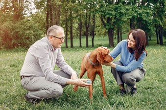 Because They’re Family: Finding Loving Pet Care When You’re Away in Toronto,ON