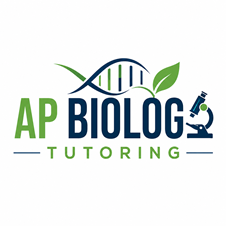 What Makes a Great AP Biology Tutor? Essential Traits to Look For in New York, NY
