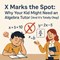 X Marks the Spot: Why Your Kid Might Need an Algebra Tutor (And it’s Totally Okay) in New York, NY