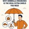 Why Umbrella Insurance Is the Ideal Extra Shield You Need in New York, NY