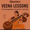 From Beginner to Maestro: Veena Lessons at Naadhabindu Vidhyalaya, San Jose in New York, NY