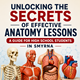Unlocking the Secrets of Effective Anatomy Lessons: A Guide for High School Students in Smyrna in New York,NY