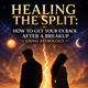 Healing the Split: How to Get Your Ex Back After a Breakup Using Astrology  in New York,NY