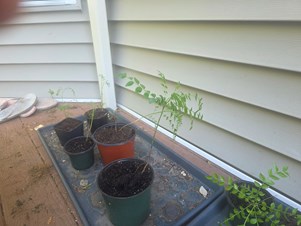 Curry Plant in Monroe Township, NJ