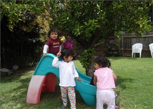 Daffodils Learning Day Care