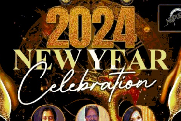 2024 NEWYEAR CELEBRATION IN ILLINOIS in Downers Grove, IL