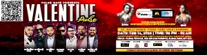 Pulse Wave Presents: Valentine Pulse (Long Island Desi Event)