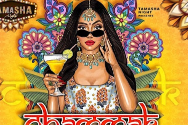 CHICAGO BOLLYWOOD PARTY FT. DJ BROWNY AT UNDERGROUND NIGHTCLUB in Chicago, IL