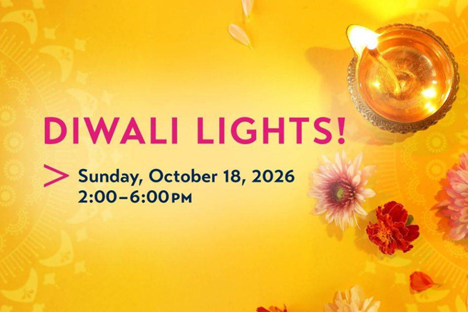 Diwali Lights! 2026, Houston, TX