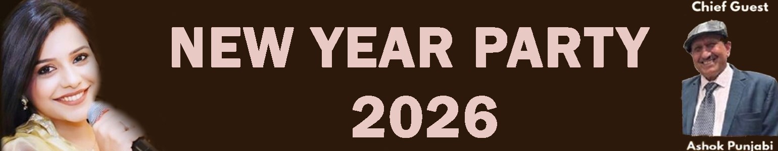 New Year Party 2026 In Illinoise