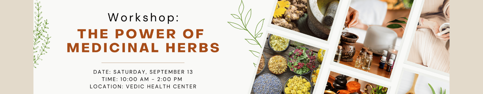 Workshop: The Power of Medicinal Herbs