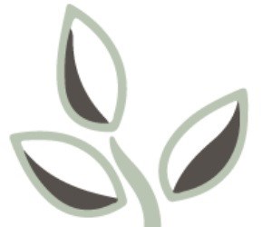 India Development Service - IDS