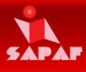 South Asian Performing Arts Foundation 