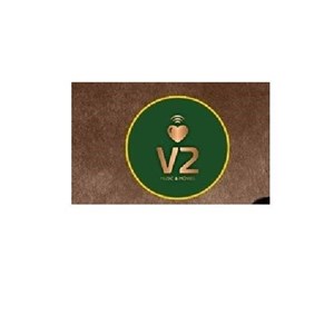 V2 Music & Movies