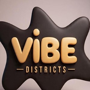 Vibe Districts Event Organizer in Washington , DC