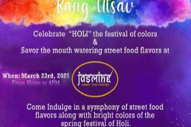 festival of colors holi nyc