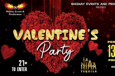 Valentine's Party , Novi, MI