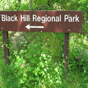 Black Hill Regional Park