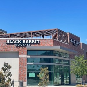 Black Rabbit Social