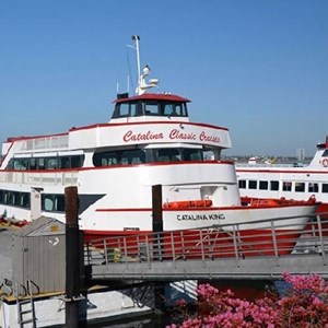 Catalina King Events and Tickets