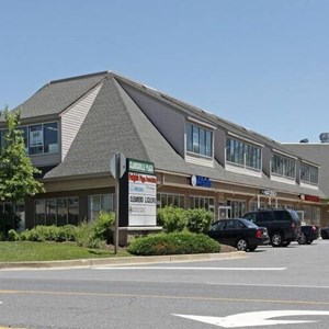 Clarksville Mint