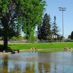Cupertino Memorial Park