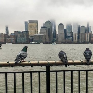 Exchange Place/Grundy Pier