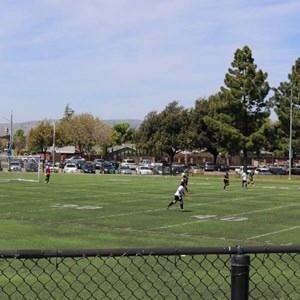 Fremont Central Park Synthetic Cricket Field