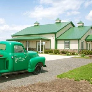 Frey's Brewing Company