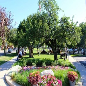 Latham Park, 