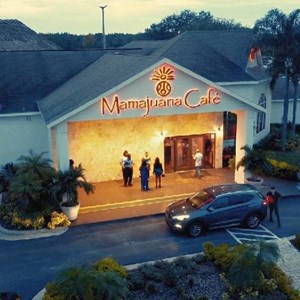 MamaJuana Cafe tampa