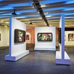 Mirus Gallery 