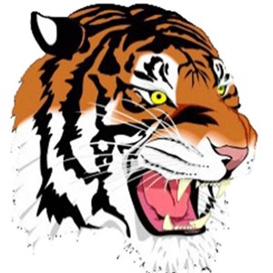 Newton High School Events and Tickets