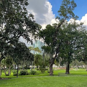 Plant Park