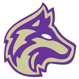 ridgeview high school