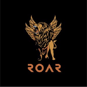 Roar Night Club