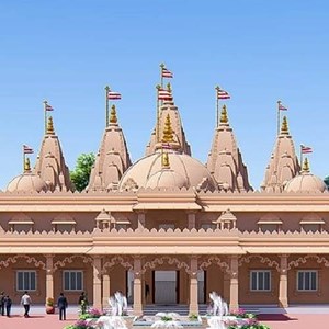 Shree Swaminarayan Mandir Vadtaldham (VDNJ)