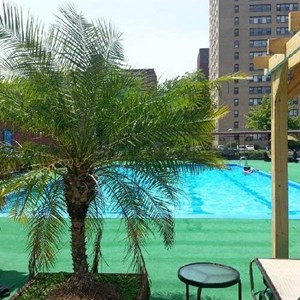 St Paul Swim club