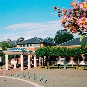 The Cultural Arts Center