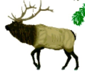Billerica Elks