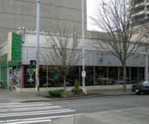 The Crocodile Cafe