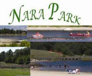 Nara Park