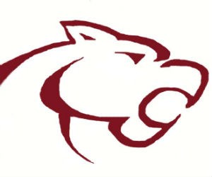 Oakton High school