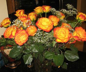 The Rose Garden