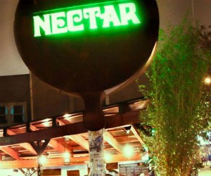 Nectar Lounge