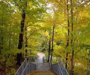 Centennial Park,Picnic Area 6