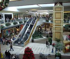 Oak Park Mall 