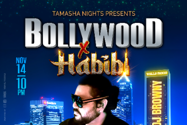 W PALM BEACH- BOLLYWOOD NIGHTS FT. DJ BROWNY AT CAMELOT