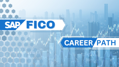 Exploring the Different Career Paths in SAP FICO: Which One is Right 