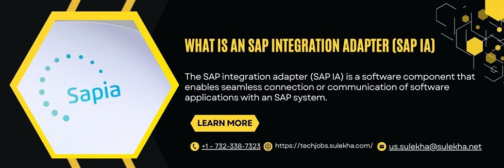 What Is an SAP Integration Adapter (SAP IA)?